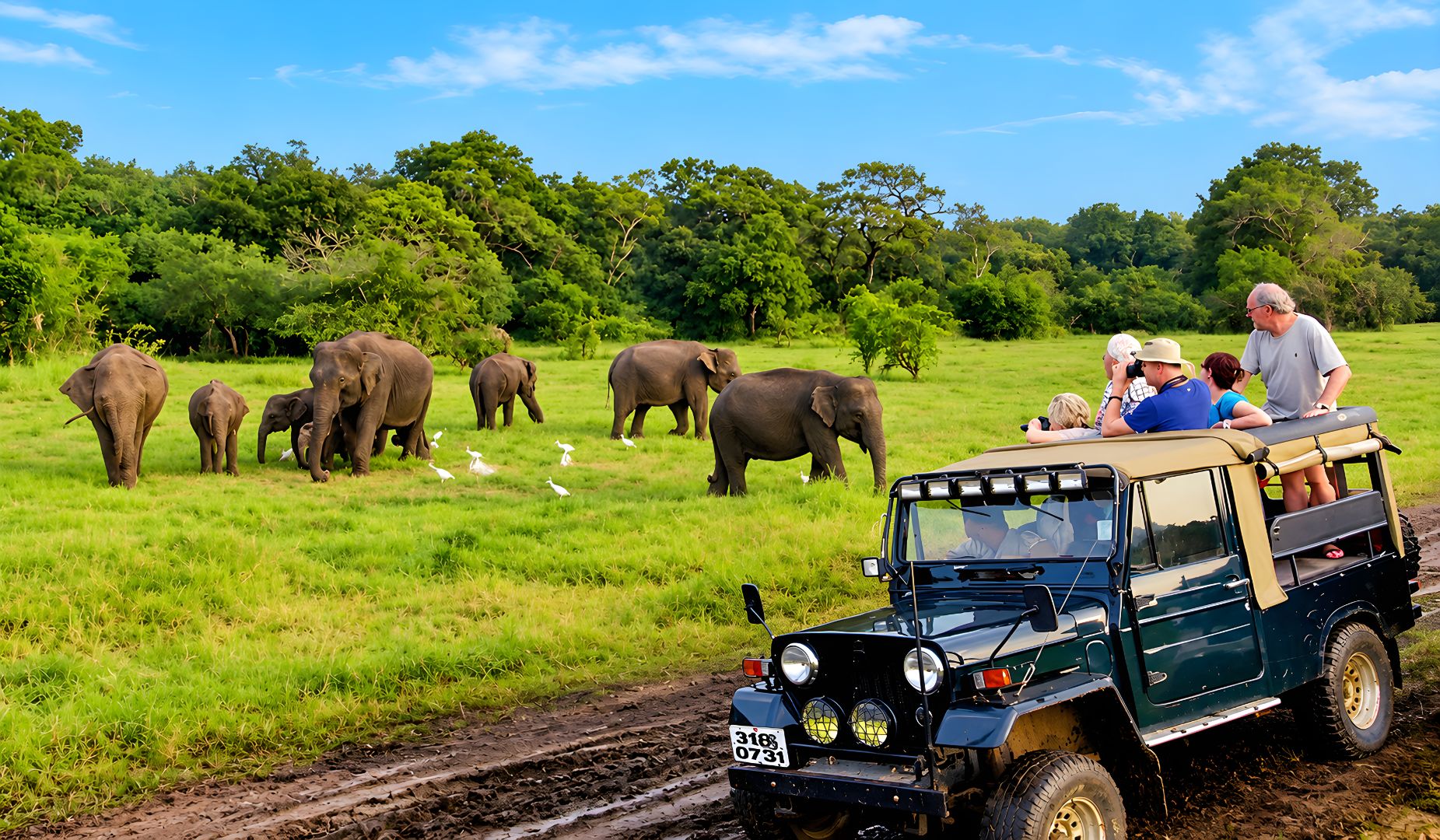 Pinnawala Open Zoo
