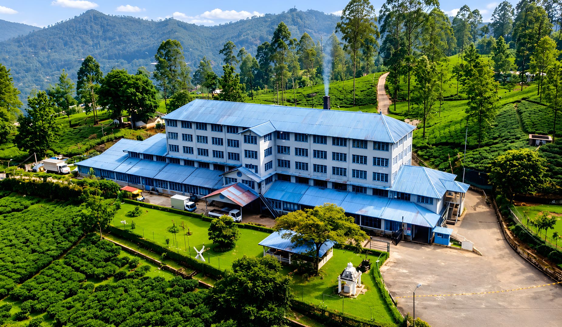 Tea factory visit